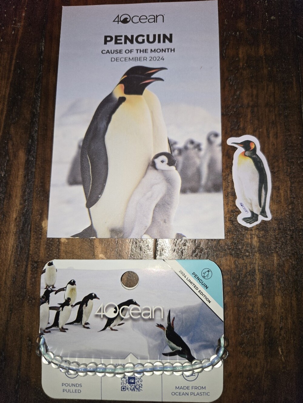 4Ocean Bracelet " Penguin"